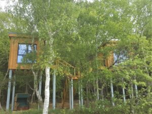 baumhaus_20230516_144152