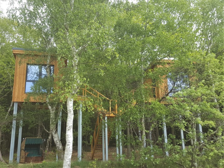 baumhaus_20230516_144152